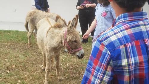 1e0f457bc32103c241a1939f9f2f1d4112bda3a8