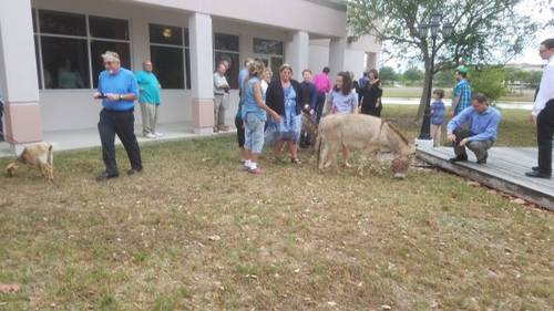 32e55f8171d8a12d76bc081eb392bf19caaa41f8