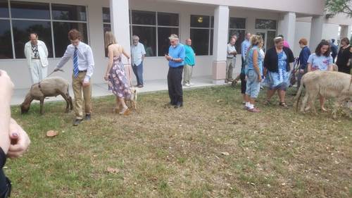 5ef0799e8898bd3587a6af303b7ff71a8aabd91b