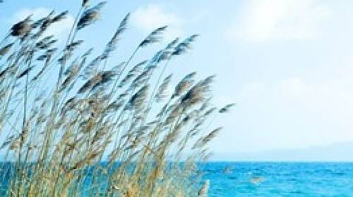 61efb93db8b5c0f42e8f31319d723d2bc6fb06ed