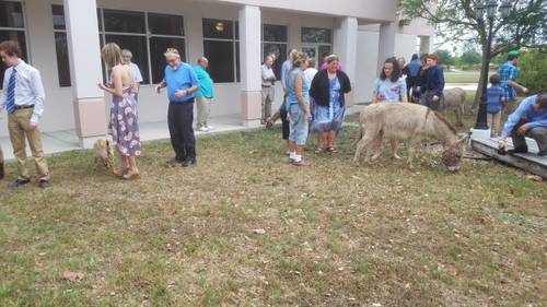 7af3779f7b22456e2af796e7bd92648ec746fd62