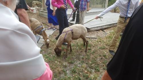 81427ccdb220dea63720e57b02b21a2dfca20985