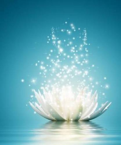 96e0b7df795a3598c94955565d653925c00a22e5