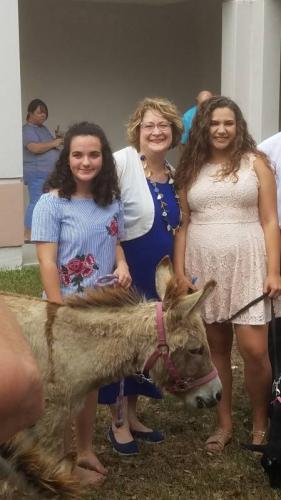 bd2f6e576ed59497ba2593027cbc2f4a39d6dfc3