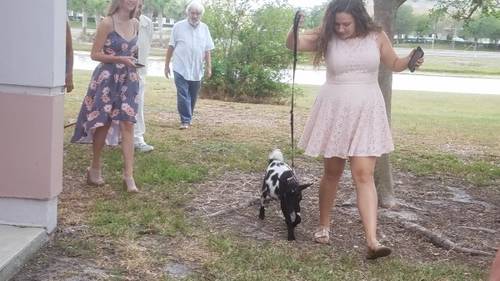 bf5689a545e1e4153d321f149b150e3cf91f85bd