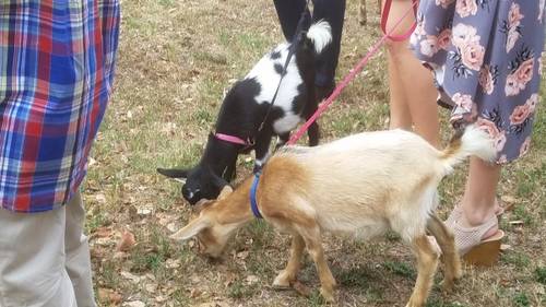 dfd100f81323612c586fe59ede6d8eb6e2dc881d