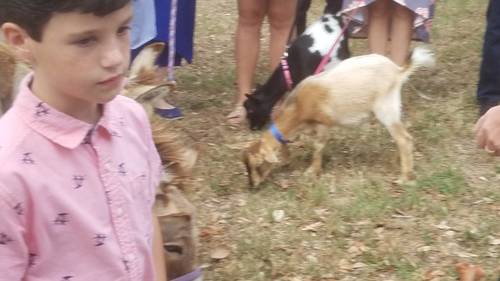 f086fa7b9ad98e3527d3c5156c75ec44baa33413