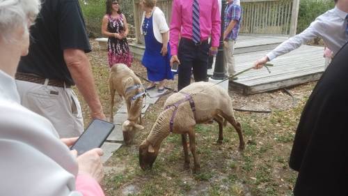 f5fe24e509799518a4cfea2195a4f7bf5c84ecfe