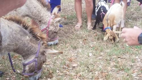 fe82ea64348b8365675effe54b78dbc8fc14e76f