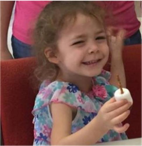 fe9058d87cec0b9353ec70084c76a02f3d34d4a8